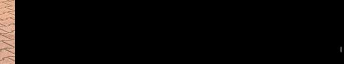 Dacia Sandero II Comfort Klima BT Tel.-Vorb. Berganfahrass. GA S